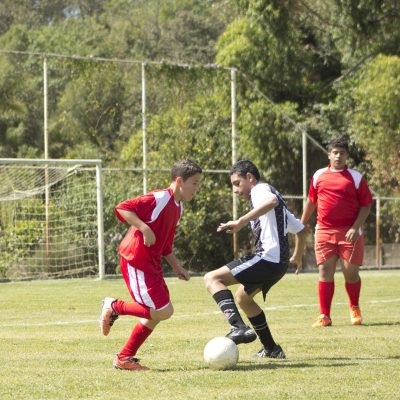 gleidiconrodrigues-football-742576_1920